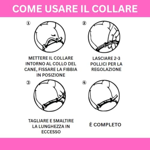 SALLYSS Anti-Parasitic Collar for Dogs - 2 Pack - - Image 5