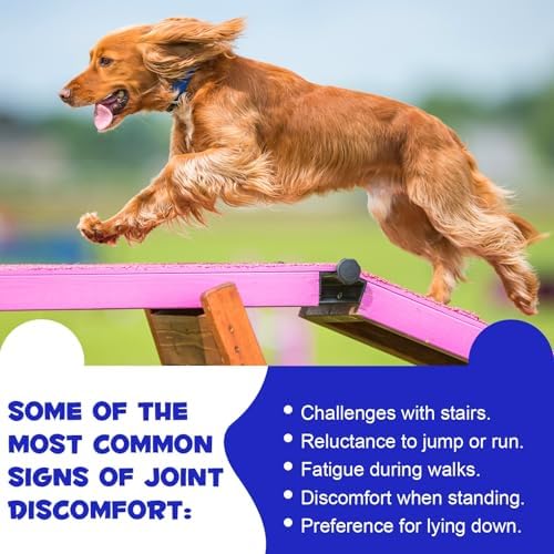 SALLYSS Chondroprotector for Dogs – - Image 7