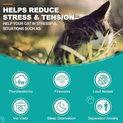 Calming Treats for Cats - - Image 4