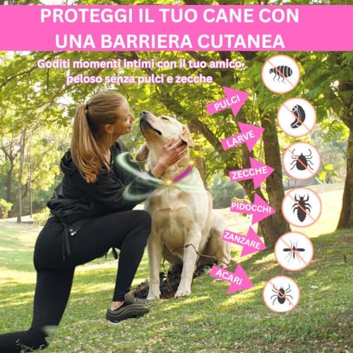 SALLYSS Anti-Parasitic Collar for Dogs - 2 Pack - - Image 7