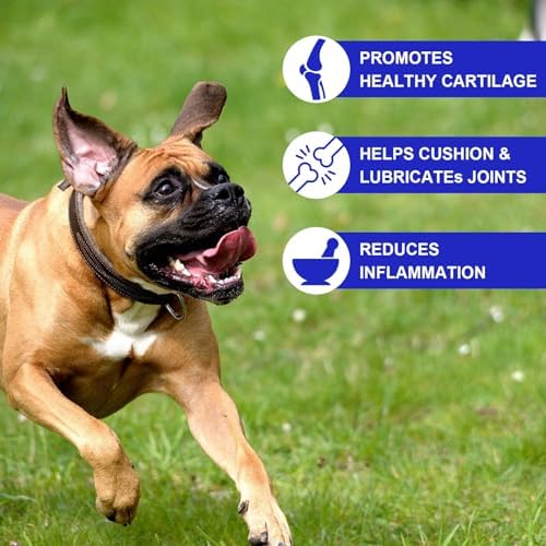 SALLYSS Chondroprotector for Dogs – - Image 8