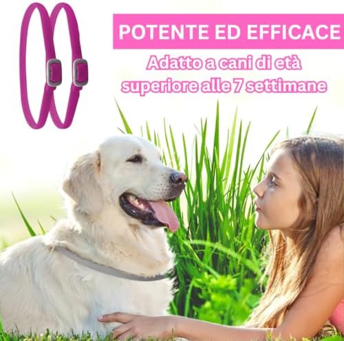 SALLYSS Anti-Parasitic Collar for Dogs - 2 Pack - - Image 3