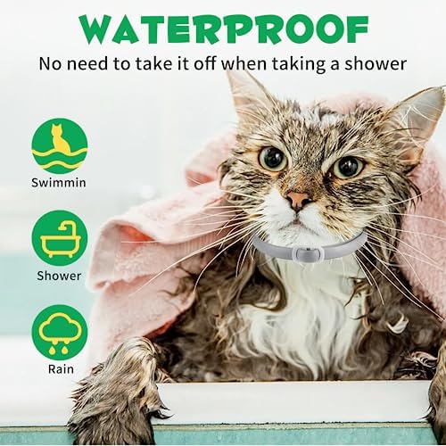 4 x Cat Pesticide Collars - Flea & Tick Repellent - Waterproof - Image 3