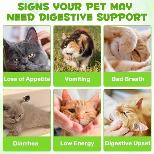 Cat Probiotic 3 in 1 Probiotics for Domestic Cats - Image 2