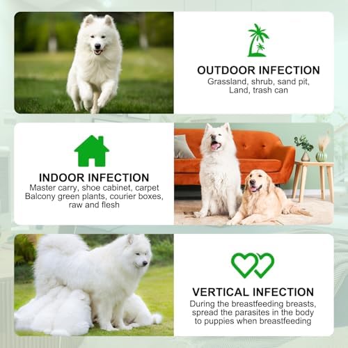 SALLYSS Natural Pesticide for Dogs – 150 Chewable Snacks - Image 6